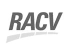 Brand Logo Icon